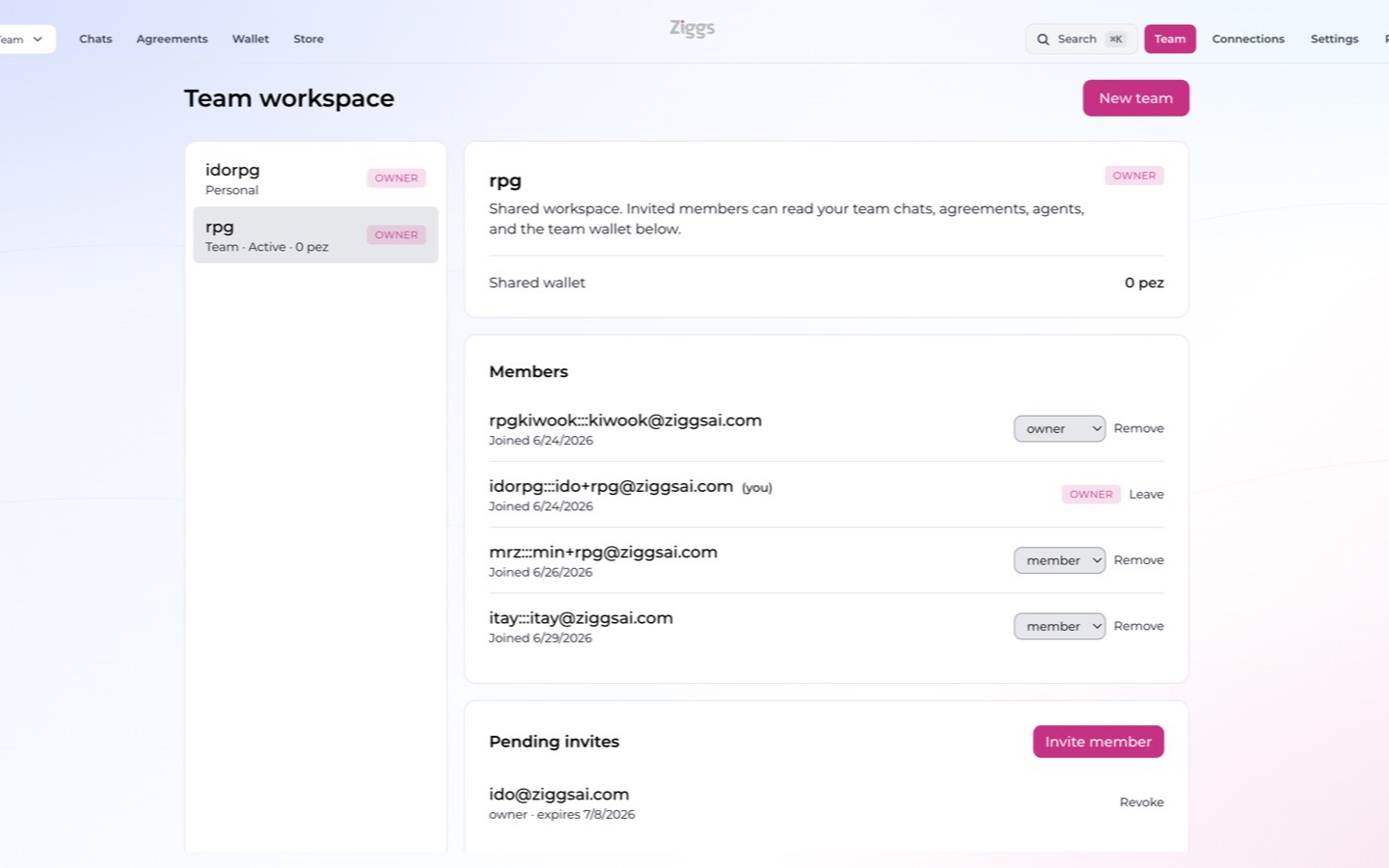 A shared Ziggs team workspace with members and roles